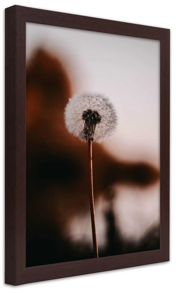 Gario Plagát Osamelá rybka Farba rámu: Bez rámu, Rozmery: 30 x 45 cm