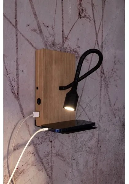 Spot-Light 5722174 - LED Nástenné svietidlo LECTOR LED/2,5W/230V USB dub