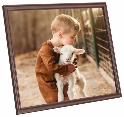vidaXL Fotorámiky na stenu alebo stôl 5 ks hnedé 40x40 cm MDF-