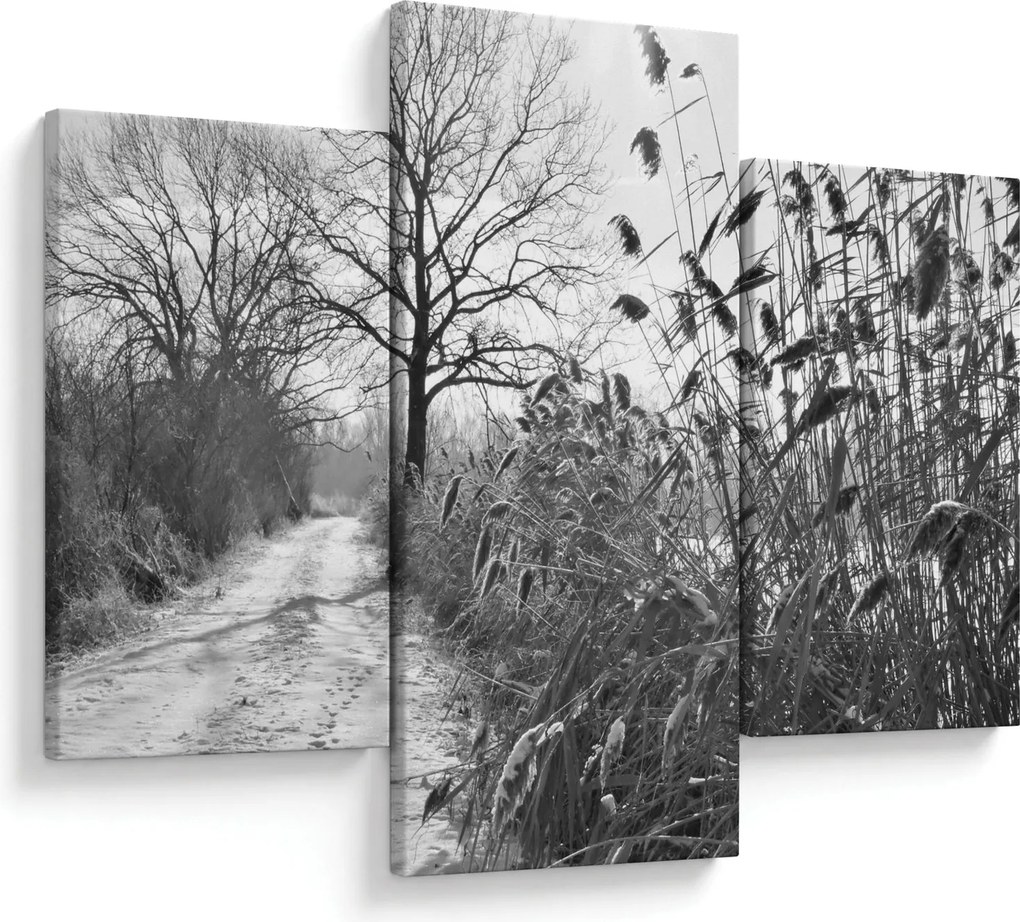 Obraz - Pole v zime (90x60 cm)