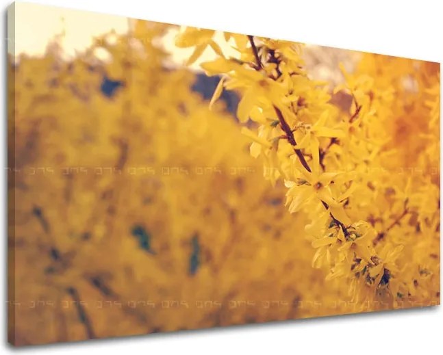 Obraz na stenu KVETY KV050E11 - 80x120 cm