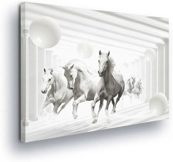 GLIX Obraz na plátne - Horses in the White Tunnel II 100x75 cm