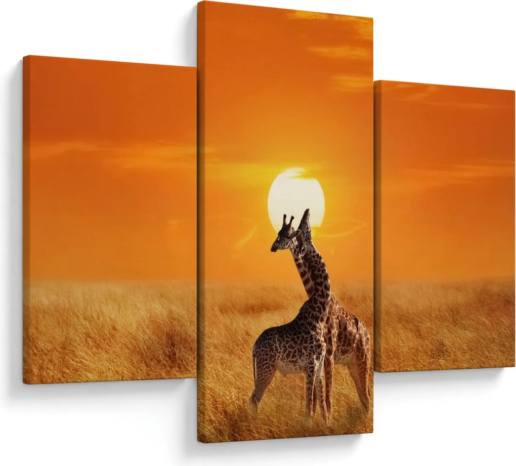 Obraz - Žirafy v národnom parku Serengeti (90x60 cm)