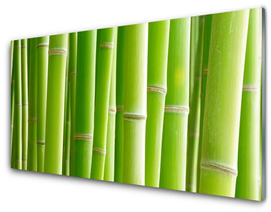 Obraz na akrylátovom skle Bambus stonka kvet rastlina 140x70 cm