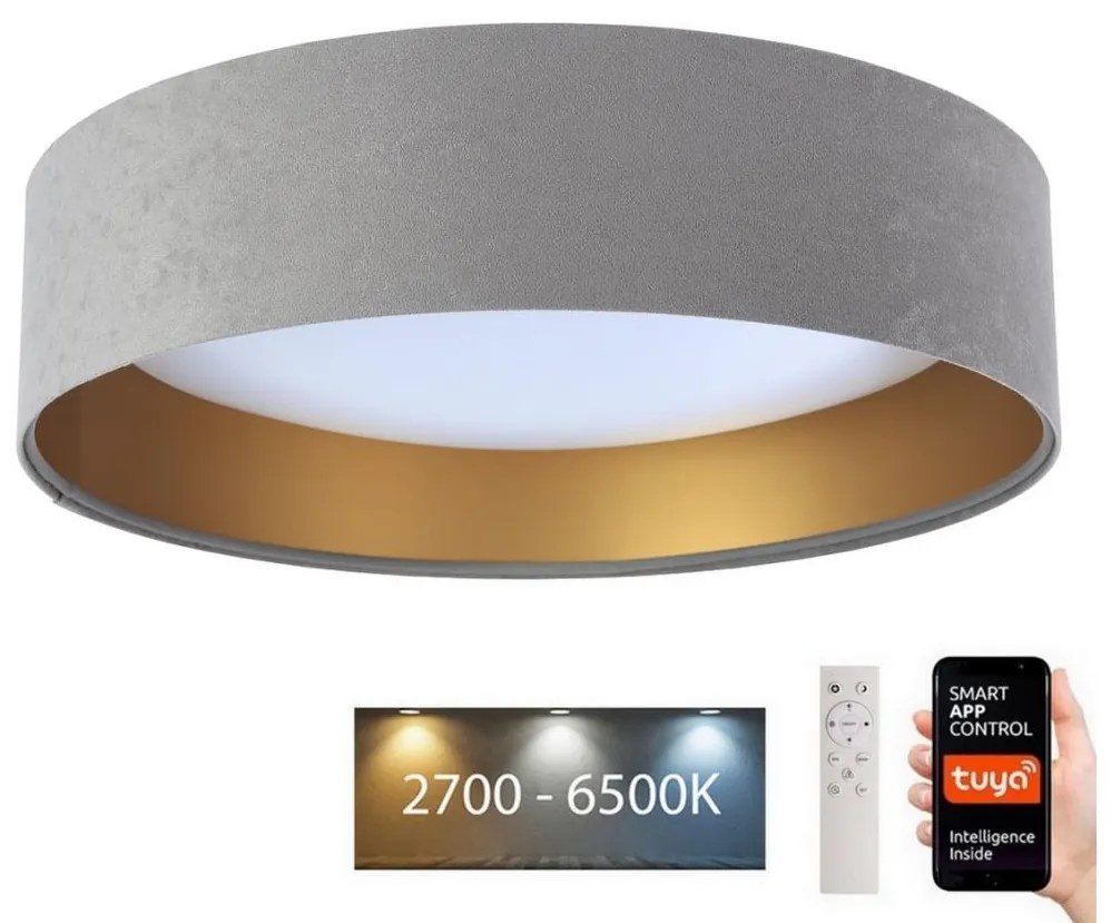 BPS Koncept LED Stropné svietidlo SMART GALAXY LED/36W/230V Wi-Fi Tuya šedá/zlatá + DO BS0520