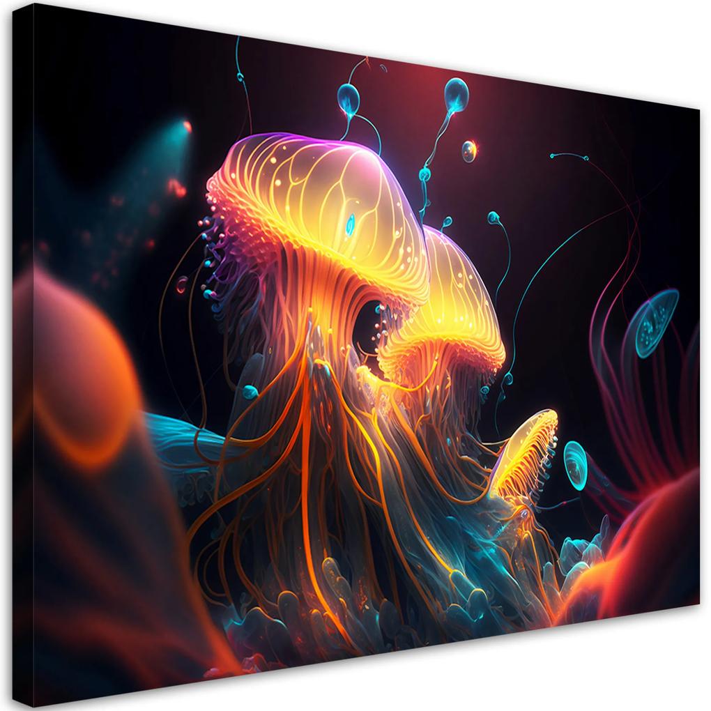 Gario Obraz na plátne Ohnivé medúzy Rozmery: 60 x 40 cm