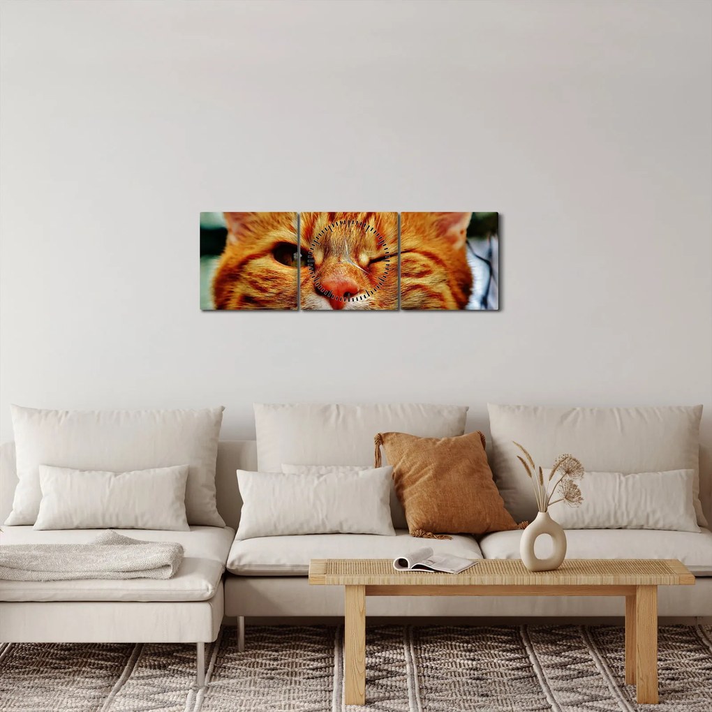 Obraz žmurkajúce mačky (s hodinami) (90x30 cm)