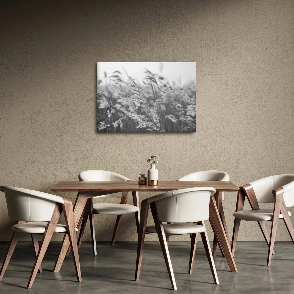 Obraz - Tráva vo vetre (70x50 cm)