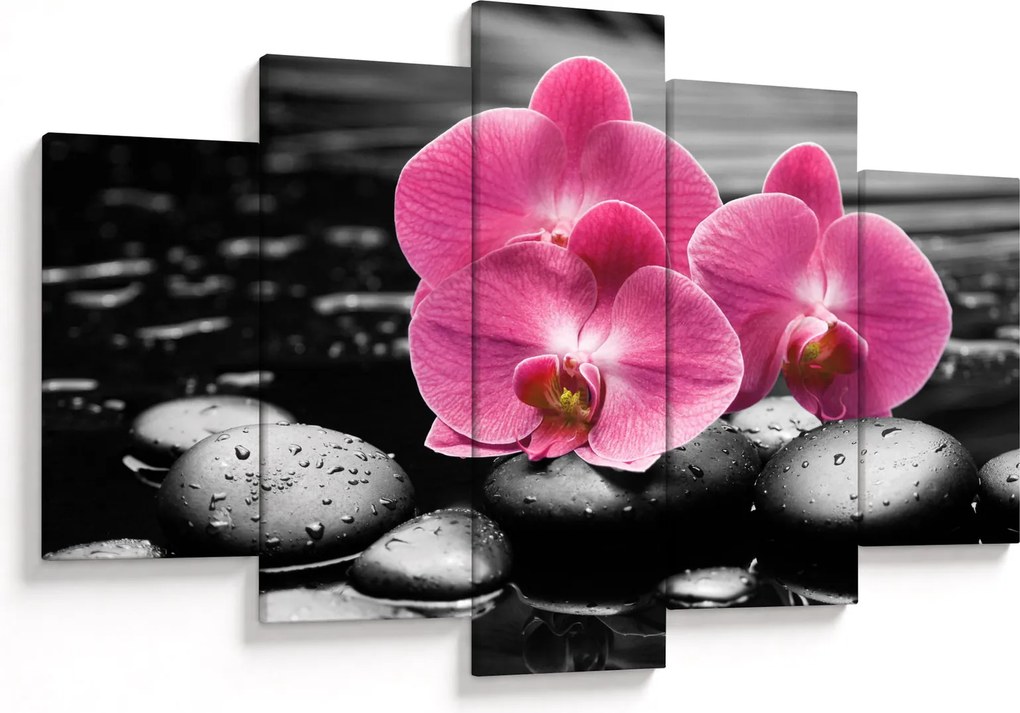 Obraz - Ružové orchidey (150x105 cm)
