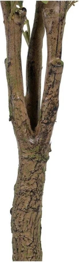 Umelý eukalyptus (výška 173 cm) Eucalyptus – Ixia