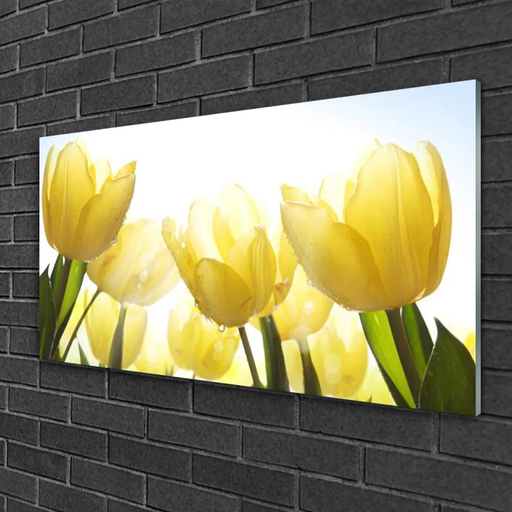 Skleneny obraz Tulipány kvety lúče 100x50 cm