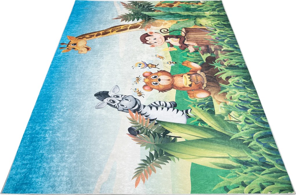 TA Koberec 2629 VYTLAČIŤ EMMA Rozmer: 80x150 cm