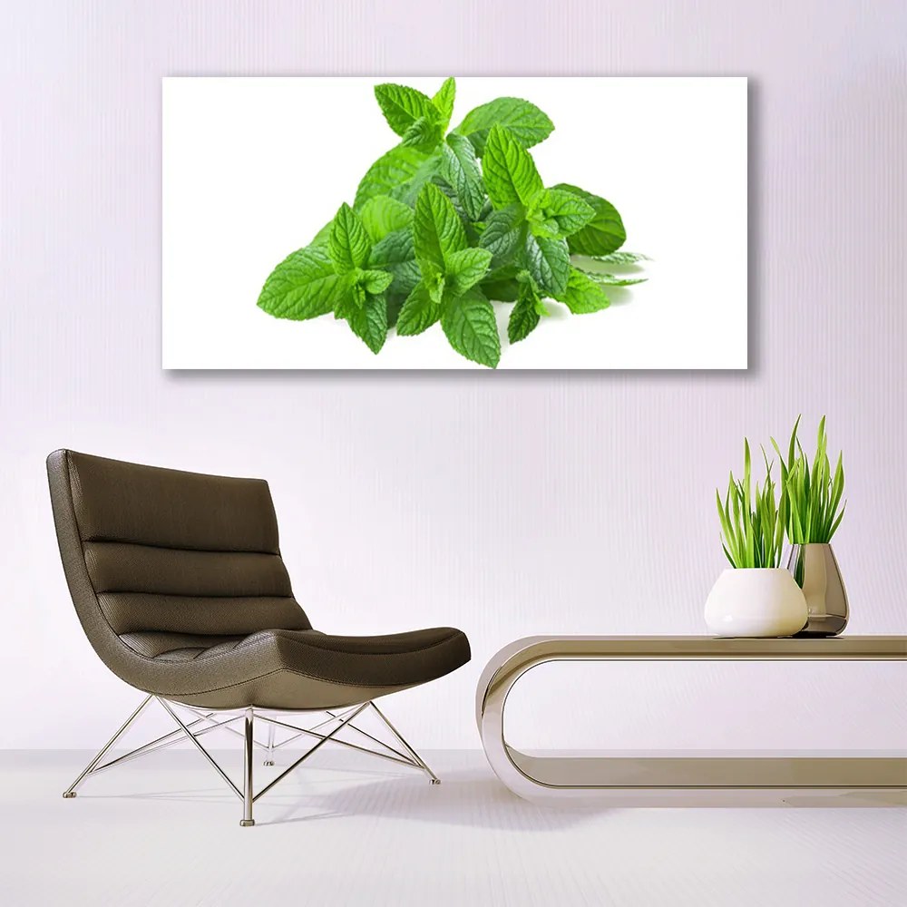 Obraz plexi Mäta rastlina príroda 120x60 cm