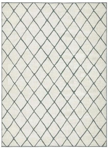 NORTHRUGS - Hanse Home koberce Kusový koberec Twin-Wendeteppiche 103117 grün creme – na von aj na doma - 80x350 cm