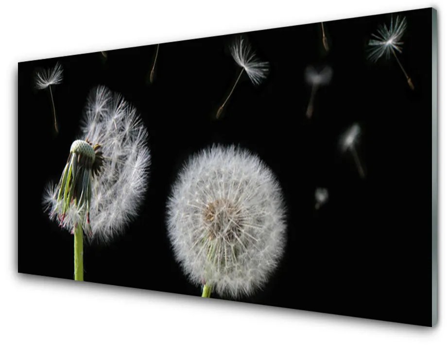 Obraz na akrylátovom skle Púpava 125x50 cm