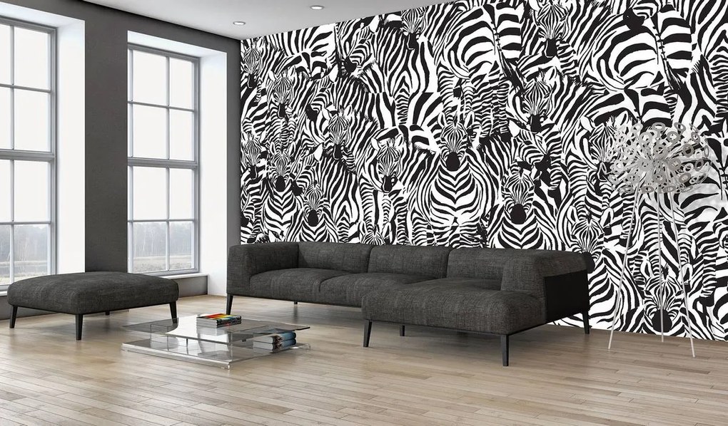 Fototapeta - Zebra (152,5x104 cm)