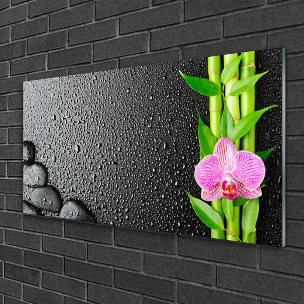 Skleneny obraz Bambus stonka kvet rastlina 125x50 cm