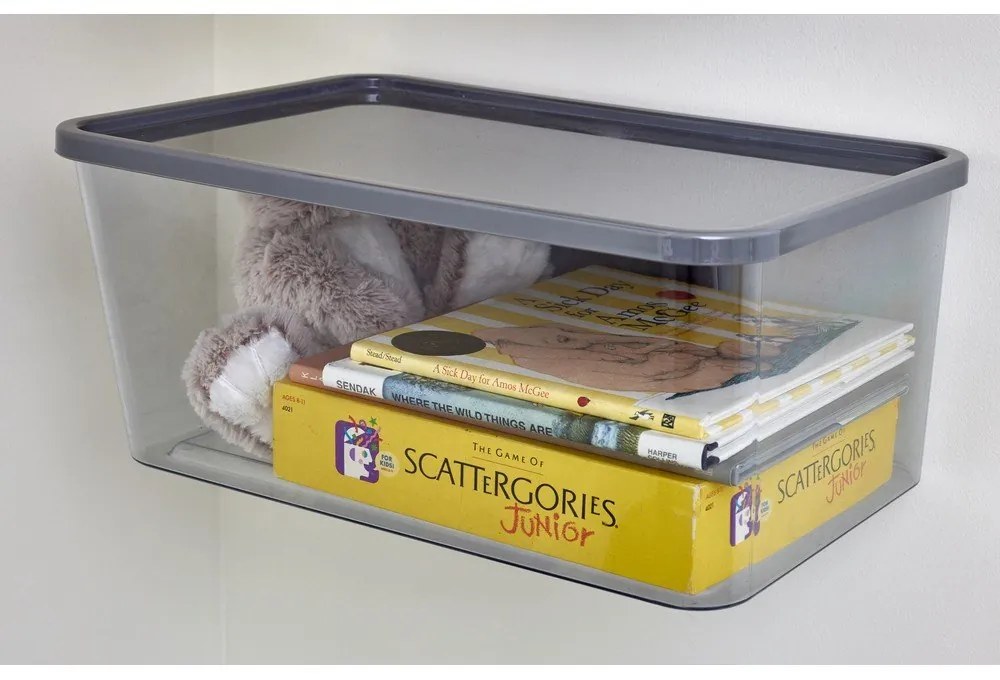 Vnútorný úložný box s vekom z recyklovaného plastu iD Wallspace – iDesign