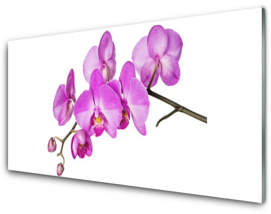 Sklenený obklad Do kuchyne Vstavač orchidea kvety 125x50 cm