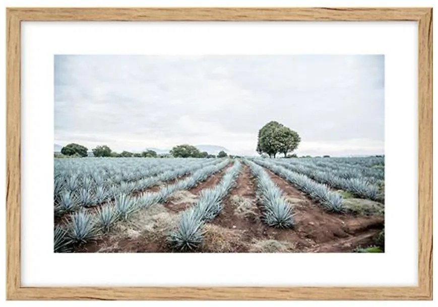 Obraz Dbxl60 90 038l35 22 002