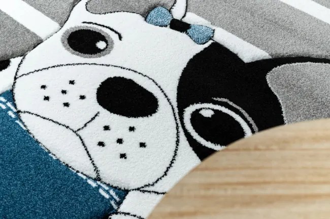 Koberec PETIT BULLDOG PES sivý