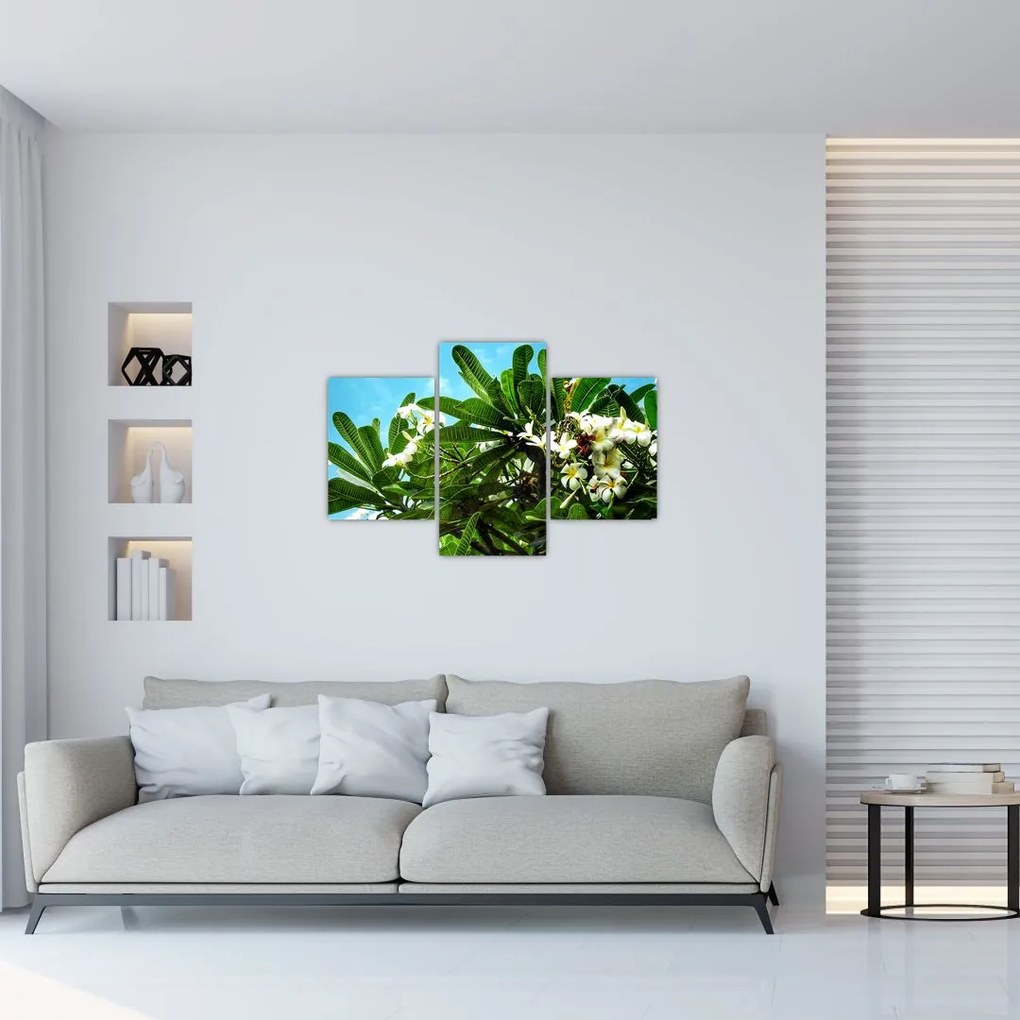 Obraz - Plumeria (90x60 cm)