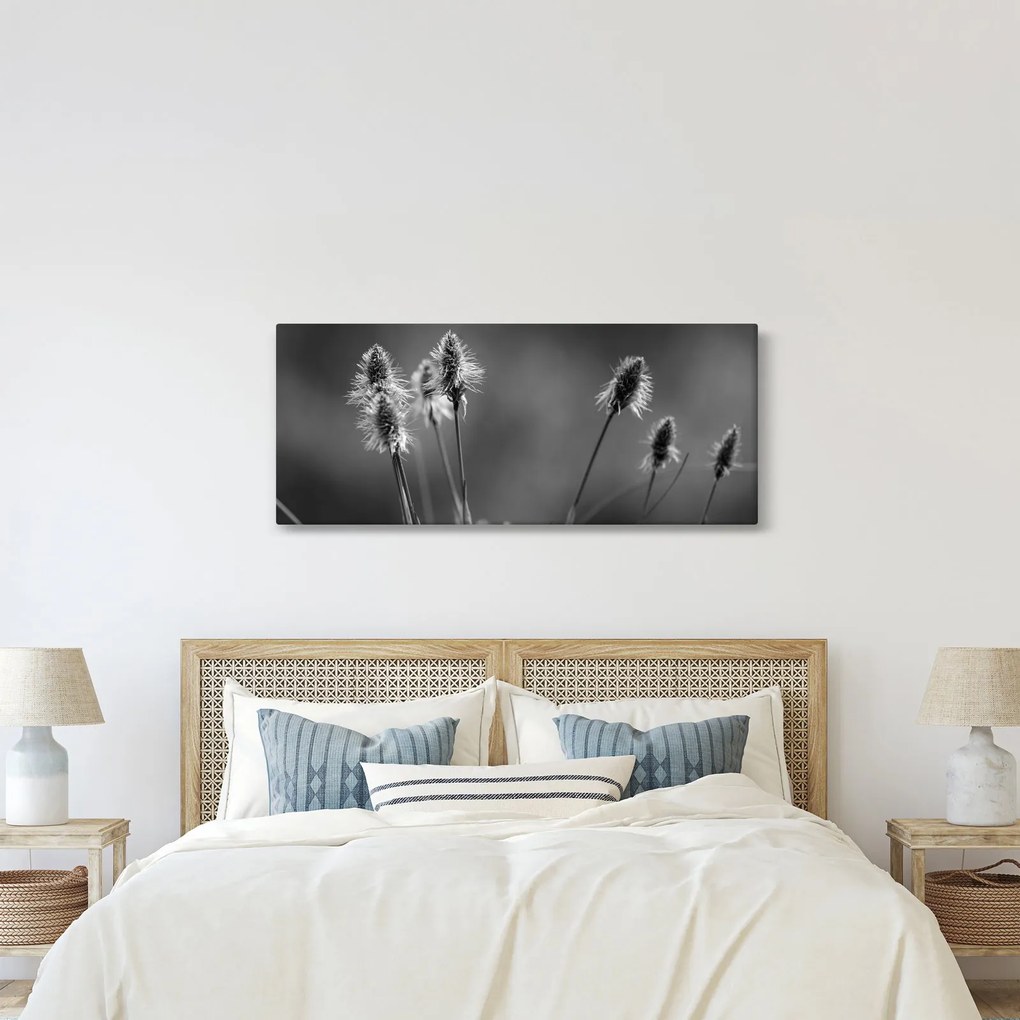 Obraz - Béžová soft grass N⁰2 (120x50 cm)