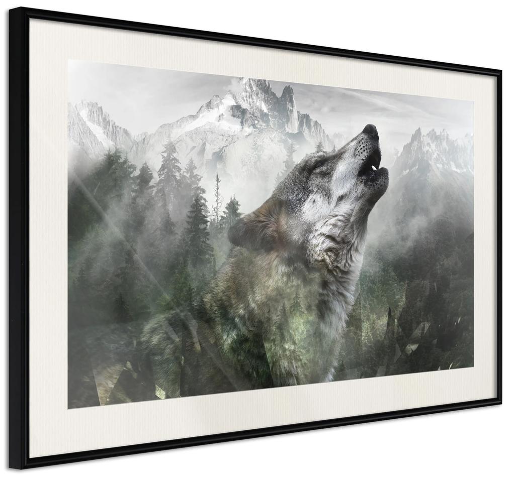Artgeist Plagát - Howling Wolf [Poster] Veľkosť: 30x20, Verzia: Zlatý rám s passe-partout