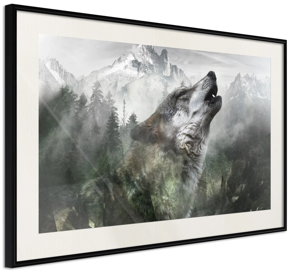 Artgeist Plagát - Howling Wolf [Poster] Veľkosť: 60x40, Verzia: Zlatý rám