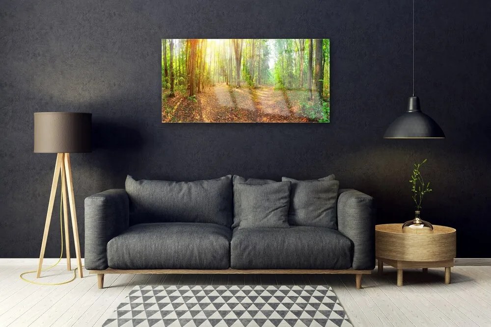 Skleneny obraz Slnko príroda lesné chodník 140x70 cm