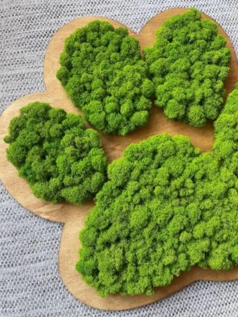 Machový obraz Labka 50x43 cm