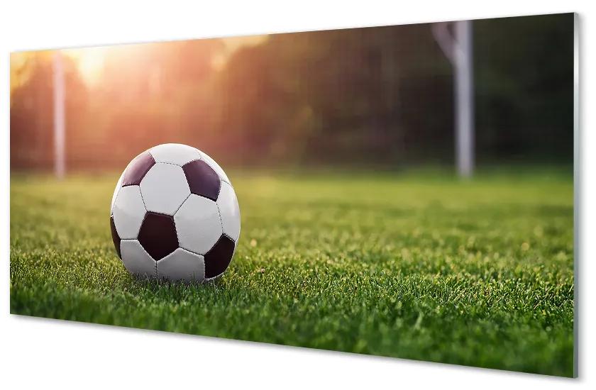 Obraz na skle Futbal tráva gateway 125x50 cm