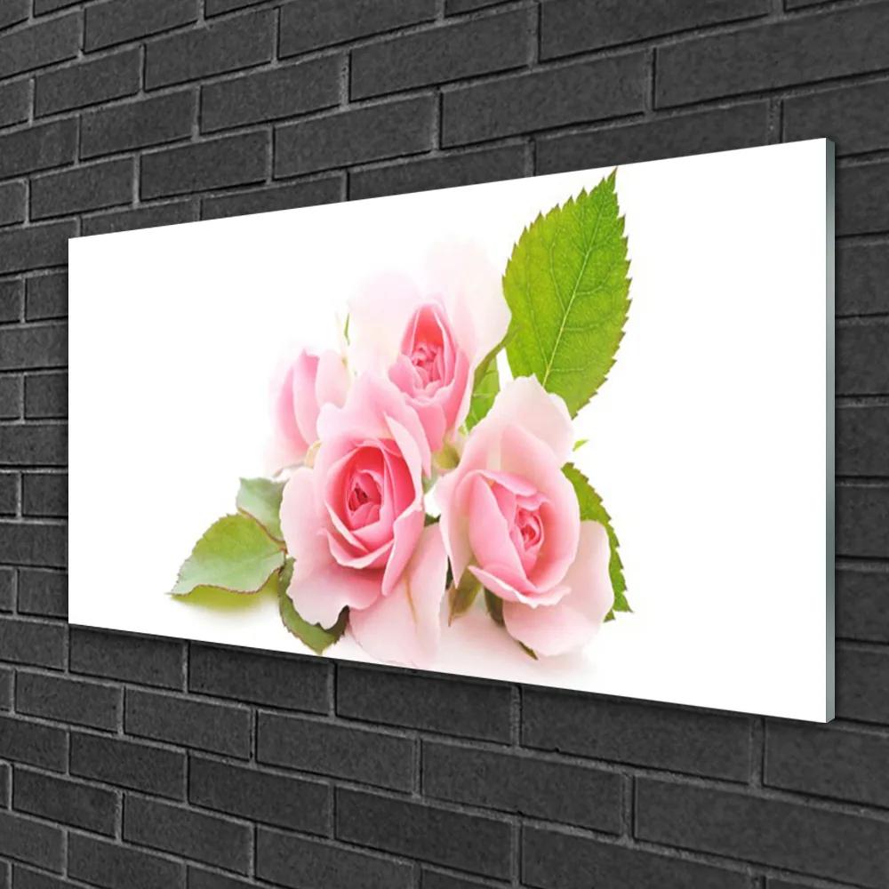 Skleneny obraz Ruže kvety príroda 120x60 cm