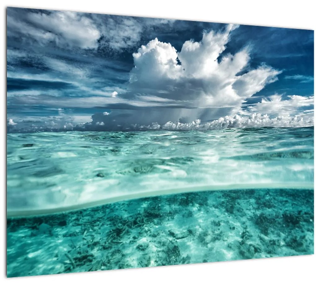 Obraz - Pohľad pod morskú hladinu (70x50 cm)