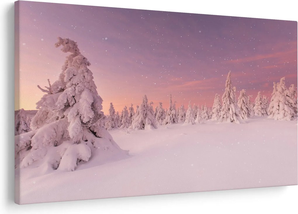 Obraz - Stromy pod snehovou prikrývkou (90x60 cm)
