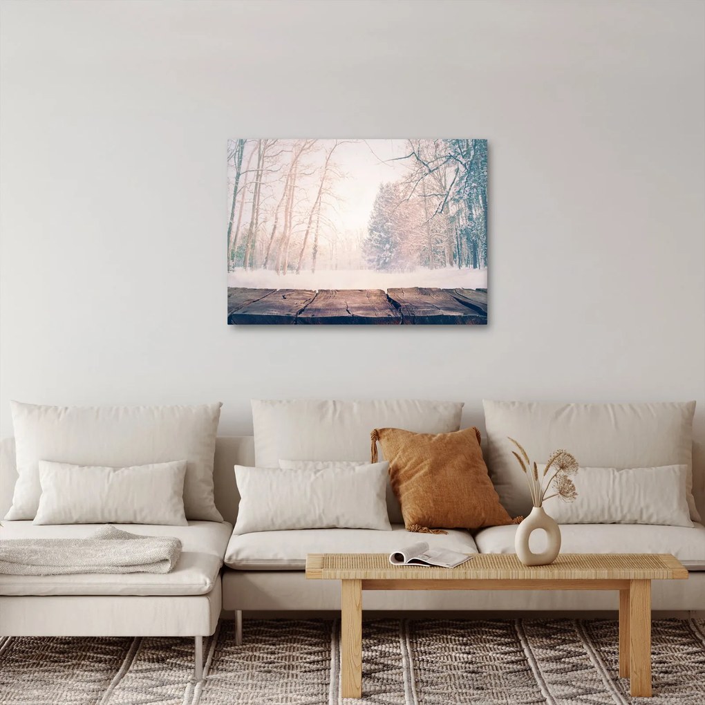 Obraz - Výhľad do lesa (70x50 cm)