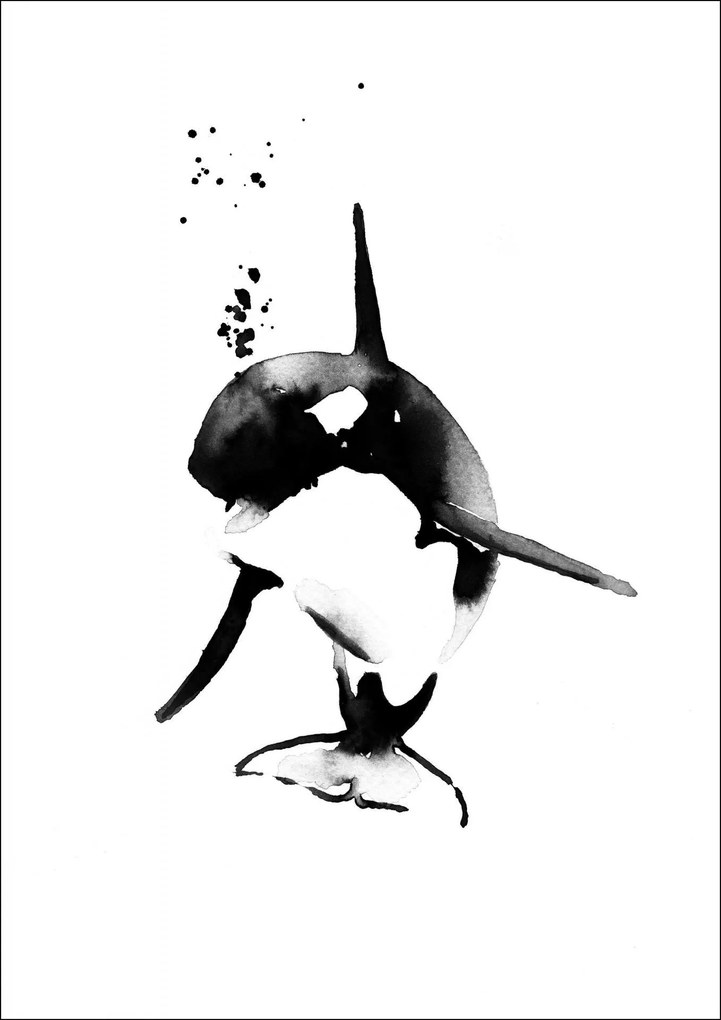 Magdalena Tyboni DESIGN Plagát Mini Killer Whale A4