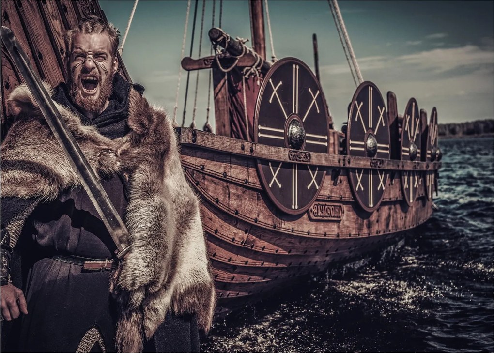Obraz - Viking (70x50 cm)