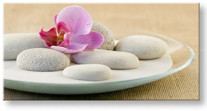 Obraz na stenu PANORÁMA FENG SHUI | rôzne rozmery