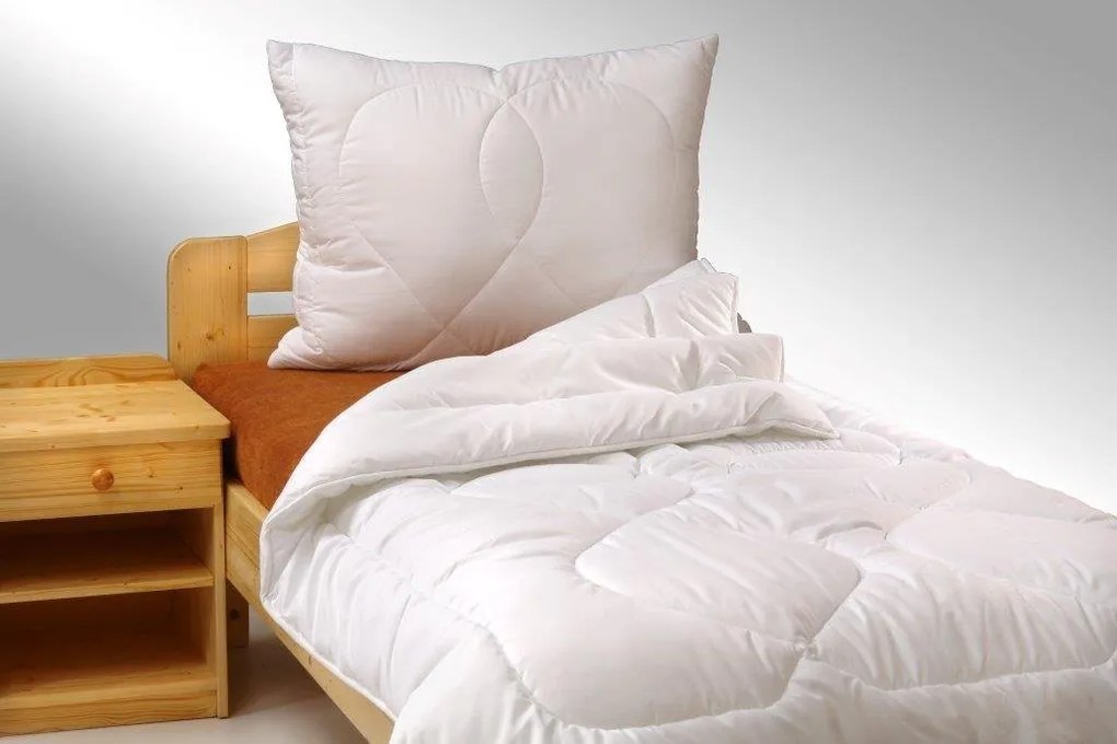 Brotex Paplón zimný 140x200cm 1300g + vankúš 70x90cm Aloe Vera