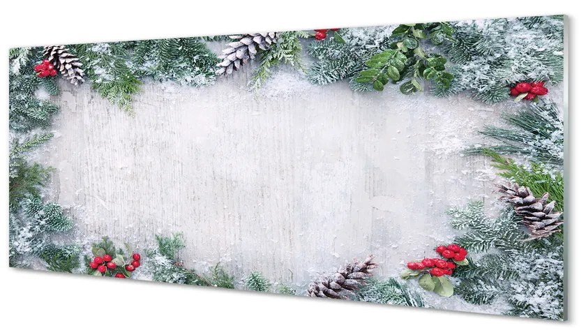 Obraz na akrylátovom skle Snehové šišky, vetvičky 120x60 cm