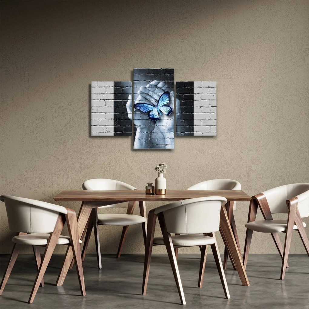 Obraz - Motýľ na stene (90x60 cm)