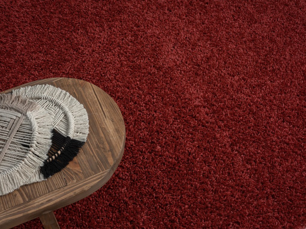 Kusový koberec My Shaggy weinrot, 200x290, červená, chodba / predsieň, My Flair
