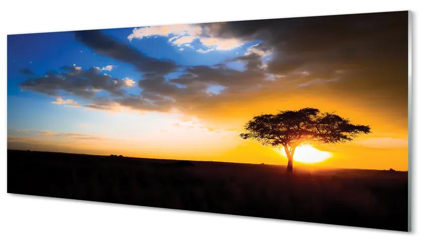 Obraz plexi Mraky strom 120x60 cm