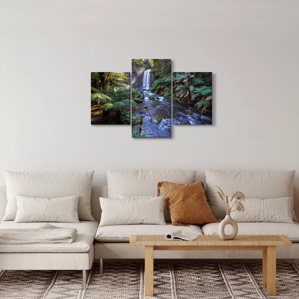 Obraz australského dažďového lesa (90x60 cm)