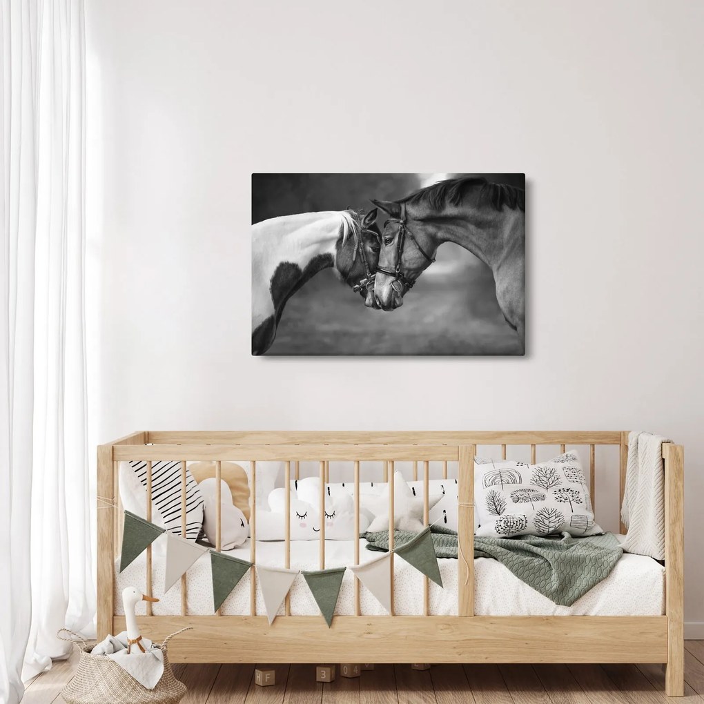 Obraz - Zamilované kone, čiernobiela (90x60 cm)