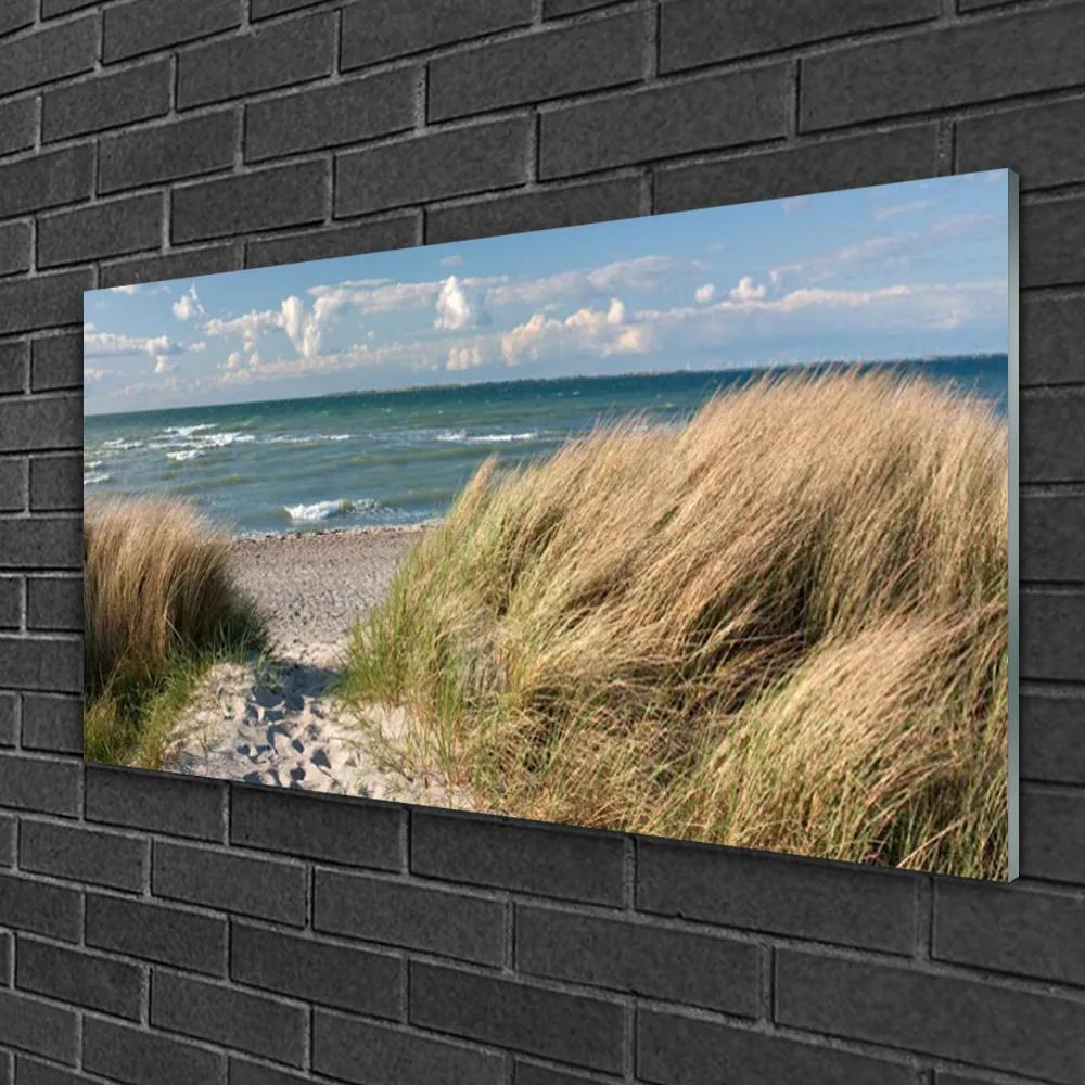 Skleneny obraz Pláž more tráva krajina 140x70 cm