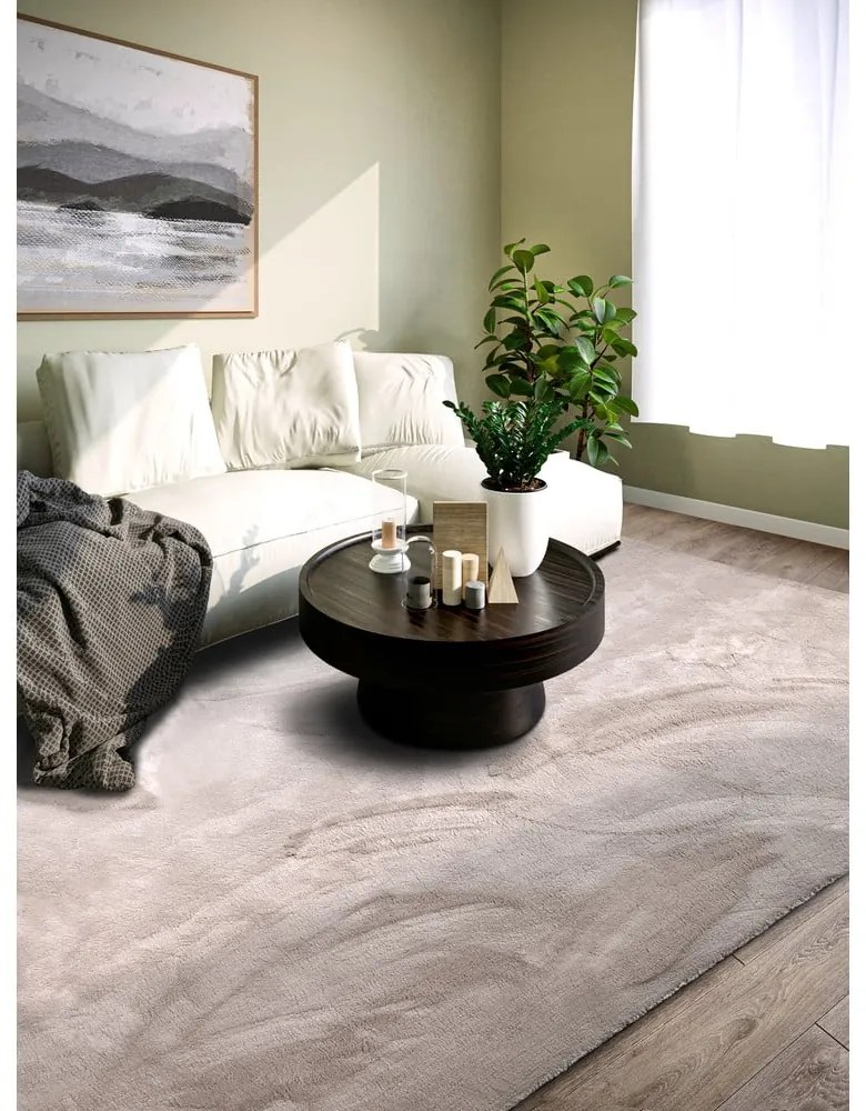 Svetlosivý koberec 80x150 cm Leon – Villeroy&Boch
