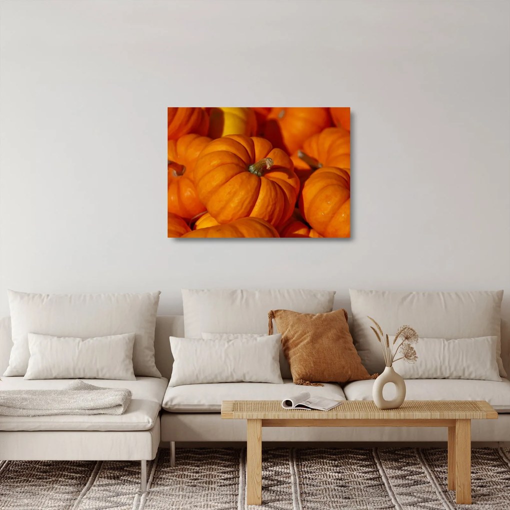 Sklenený obraz - Veľké tekvice (70x50 cm)