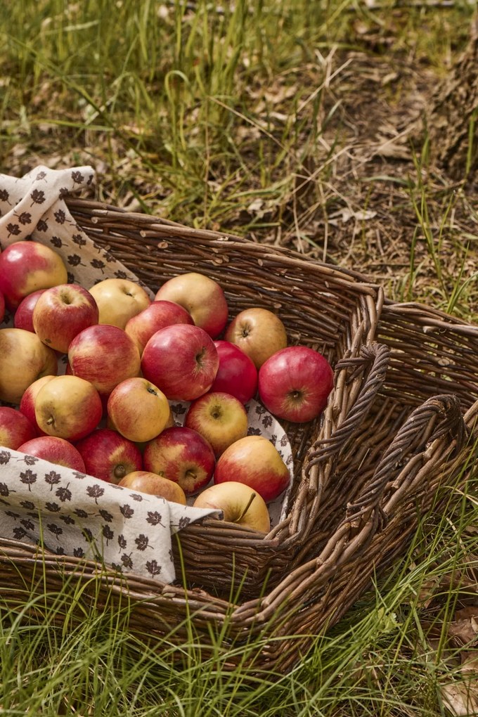 Ib Laursen Prútený kôš Unpeeled Willow Väčší